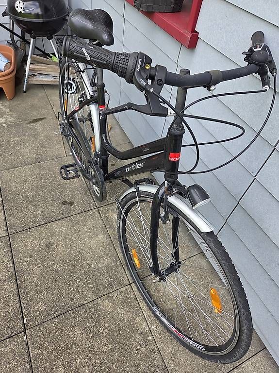 Biciclette: Damen City Bike – Usato da Trachslau venduto da scorpion02