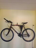 Muddy Fox Alu Team, MTB Vintage, frisch revidiert