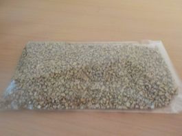 Goldsteinli