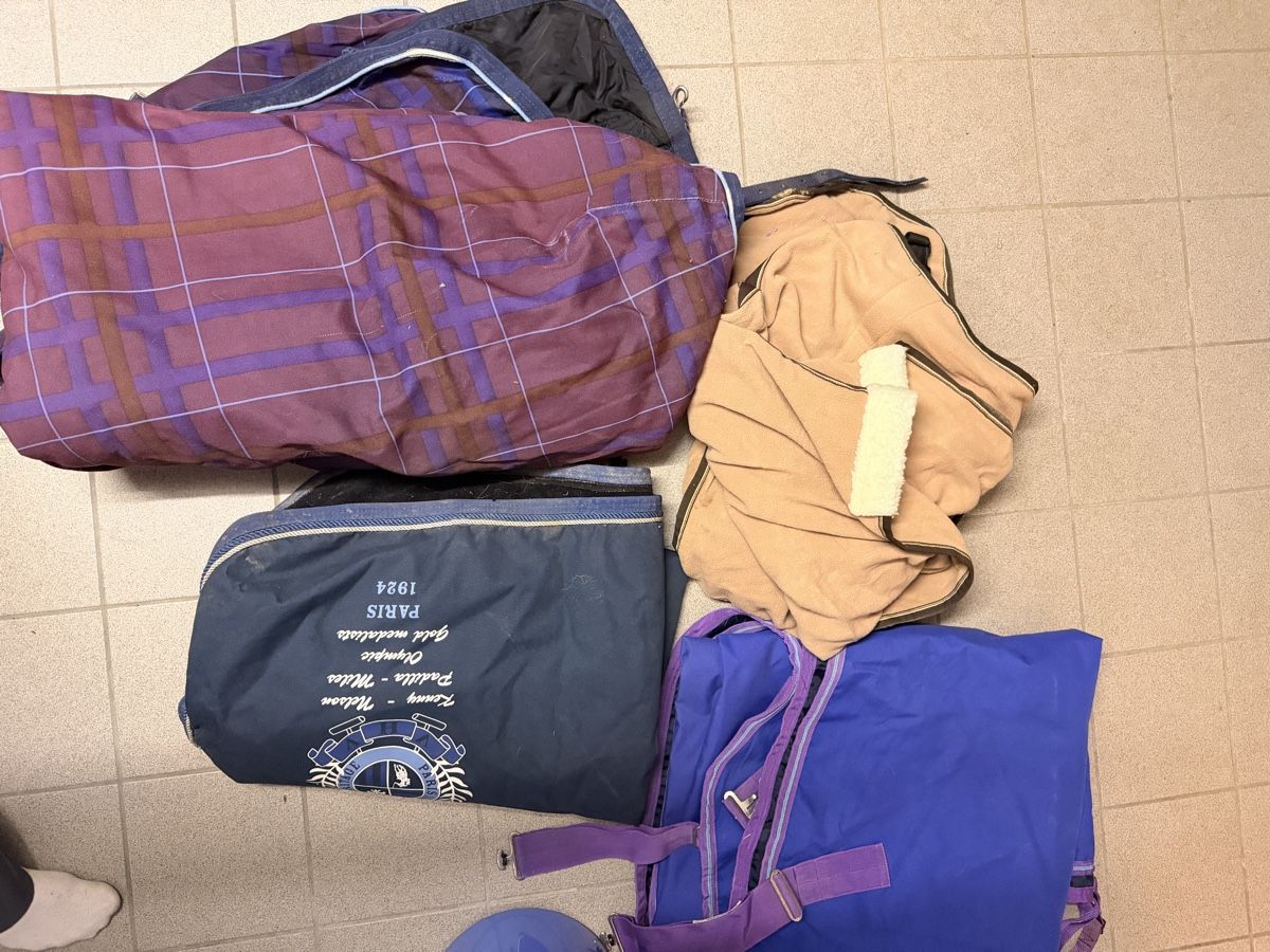 Coperte: Divers couvertures pour cheval taille 125 – Usato da Wavre venduto da ali_fyq9