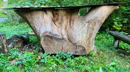 Holz Eschenzwysel  - Strunck