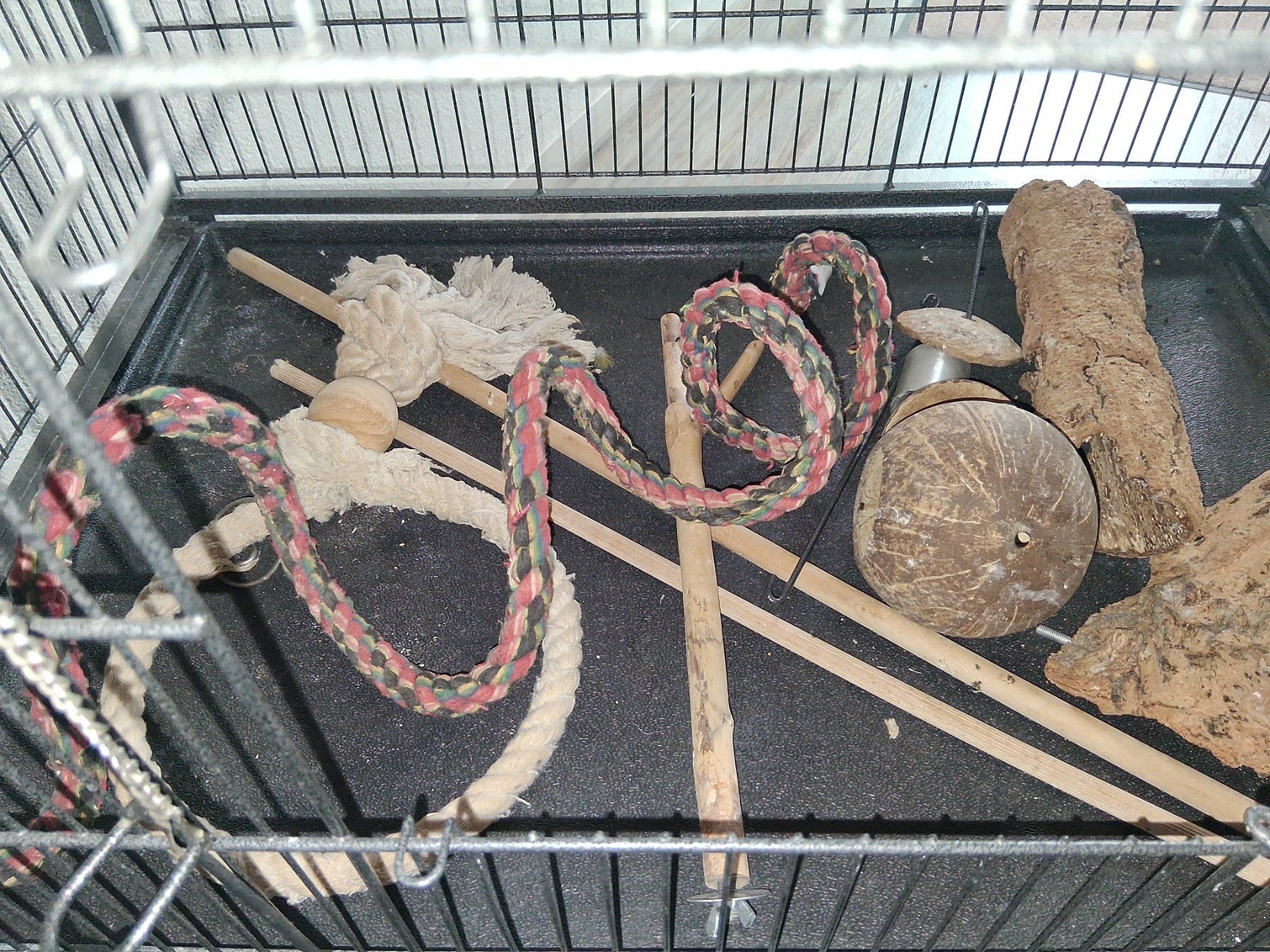 Gabbie, trasporto & Sicurezza: Vogelvoliere auf Rollen – Usato da Erlen venduto da Katzenjimmy2 3