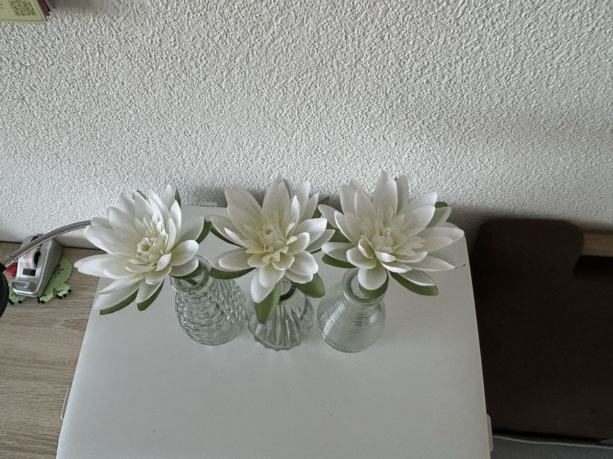 Plantes & graines: Blumen künstliche – Neuf (Voir description) à Tuggen par Nadia4488