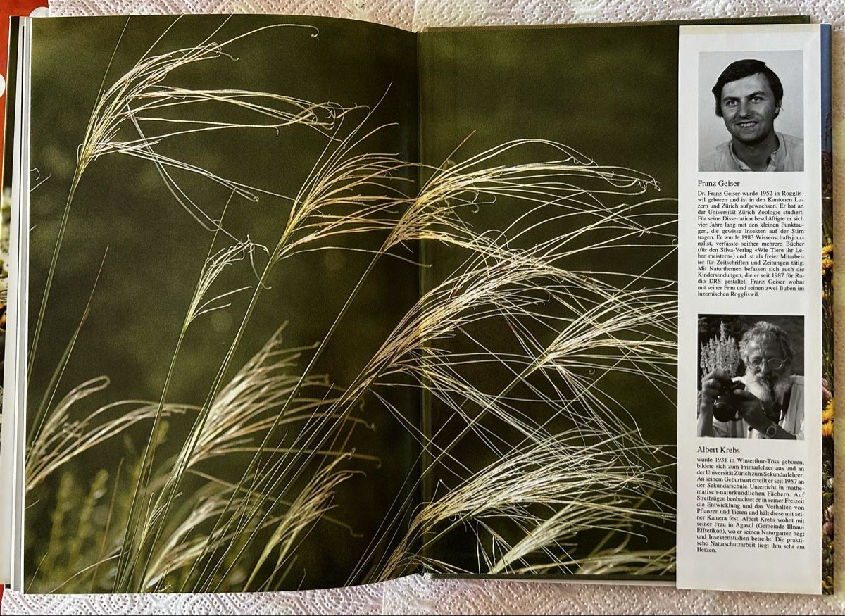 Libri: Die Wiese lebt, Silva-Verlag 1992 – Usato da Lengnau BE venduto da AgriOttu 9