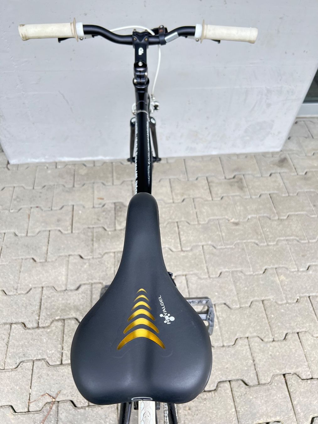Scott Biciclette: Scott - Singlespeed – Usato da Biel/Bienne venduto da esan3 4