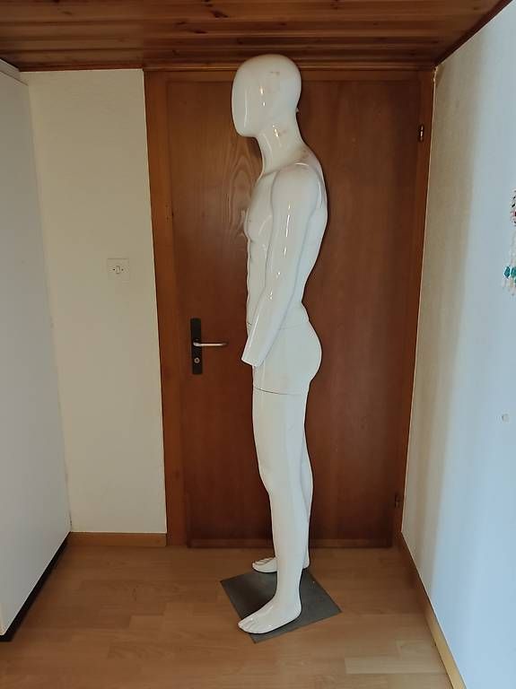 Autres décorations & accessoires: Mannequin – D'occasion à Luzern par MWi_9xw5 2