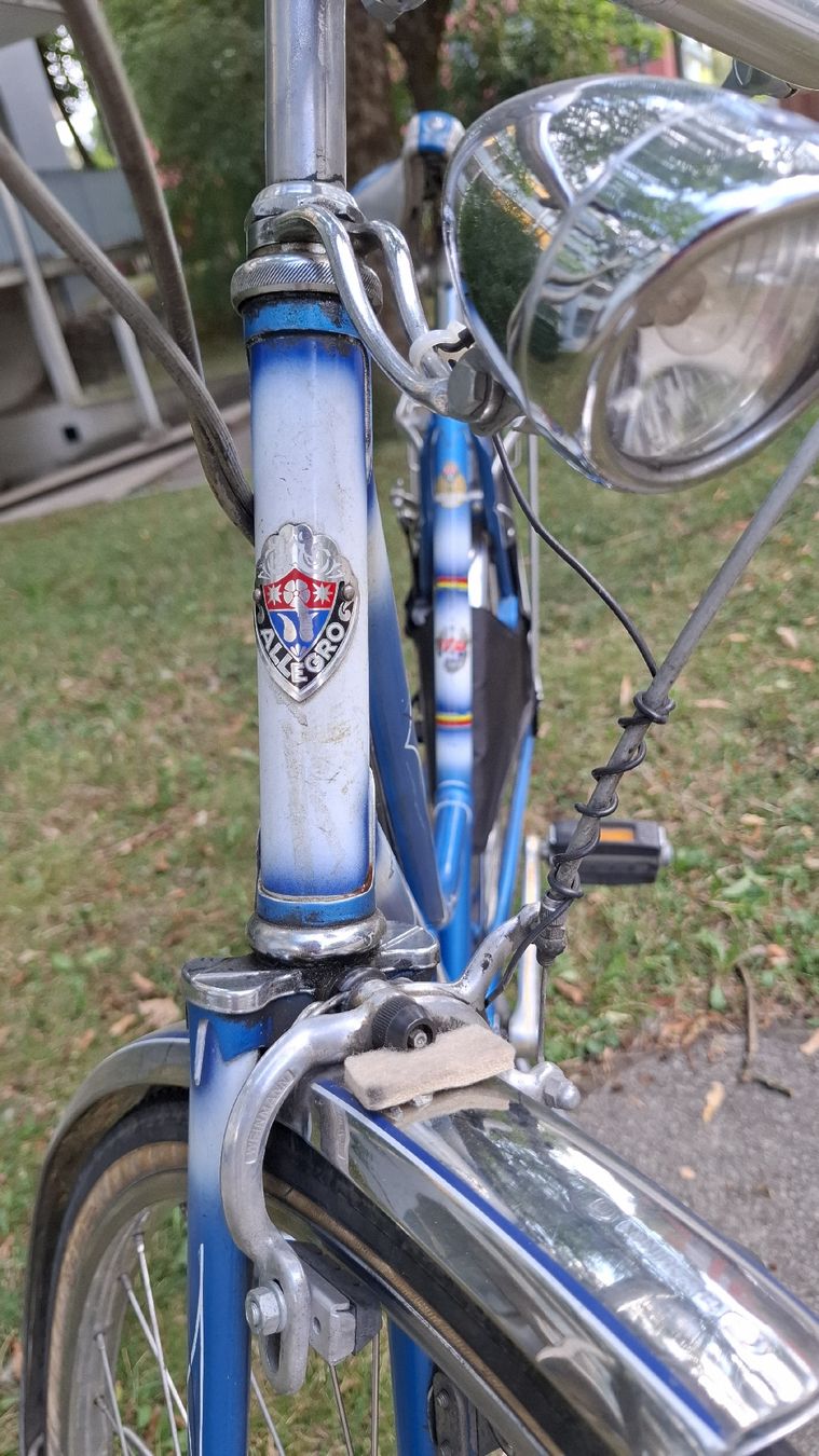 Biciclette: Allegro Damenvelo 3-Gänge – Usato da Winterthur venduto da DanielaB07 4