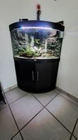 aquarium 