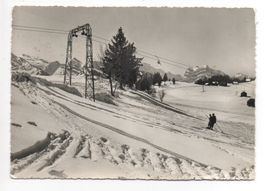 AMDEN Naturfreundehaus Tscherwald (Oerlikon-Seebach) Skilift