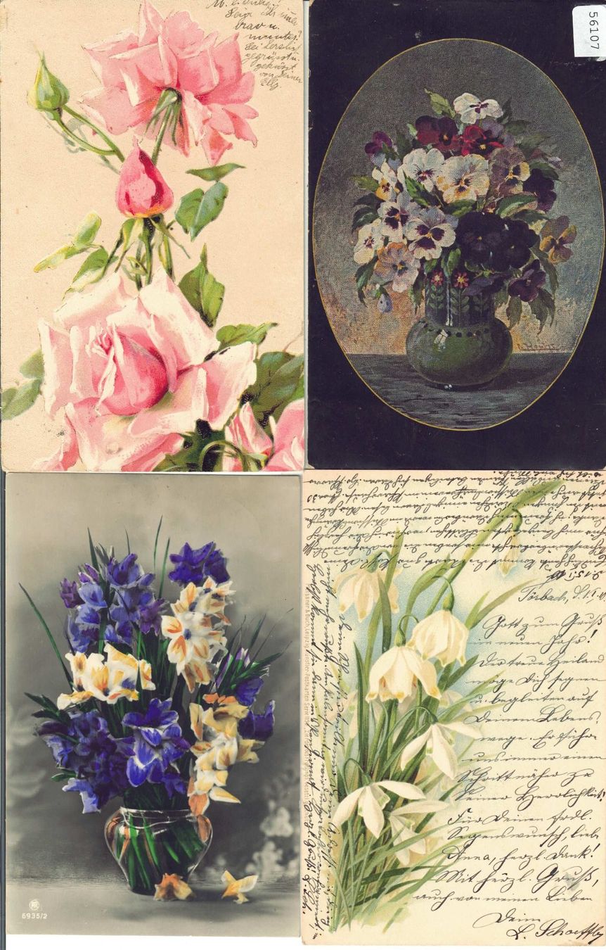 Cartoline postali: 4 AK - Blumen – Usato da Ettingen venduto da Kartenplanet