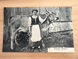 Alte Postkarte: Schwyzer Sennerin mit Kuh (52)