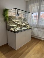 Terrarium-Set "Zoo-Anlage" mit Zubehör, gross, wie neu!
