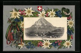 Präge-AK Glarus, Gesamtansicht, Edelwei