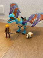 Playmobil Drachenzähmen