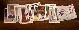 Panini WM 2002 - Sticker Einzeln zur Auswahl