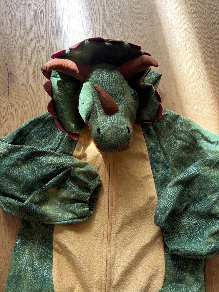 Costumi: Dinosaurier Kostüm Grösse 116-128 – Usato da Zufikon venduto da Mosaik75 1
