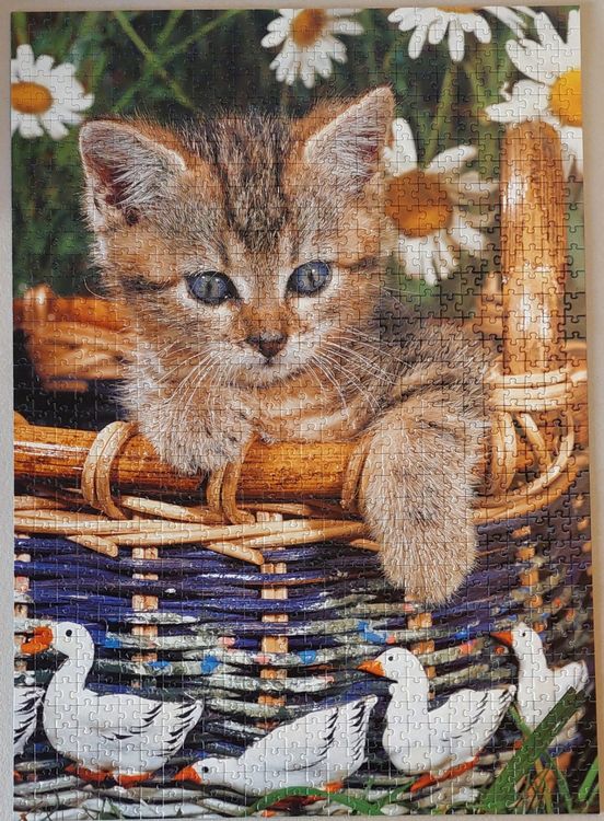 Puzzle Clementoni, 1000 pièces, Chiots et chatons 🐶🐱(57) (D'occasion) à