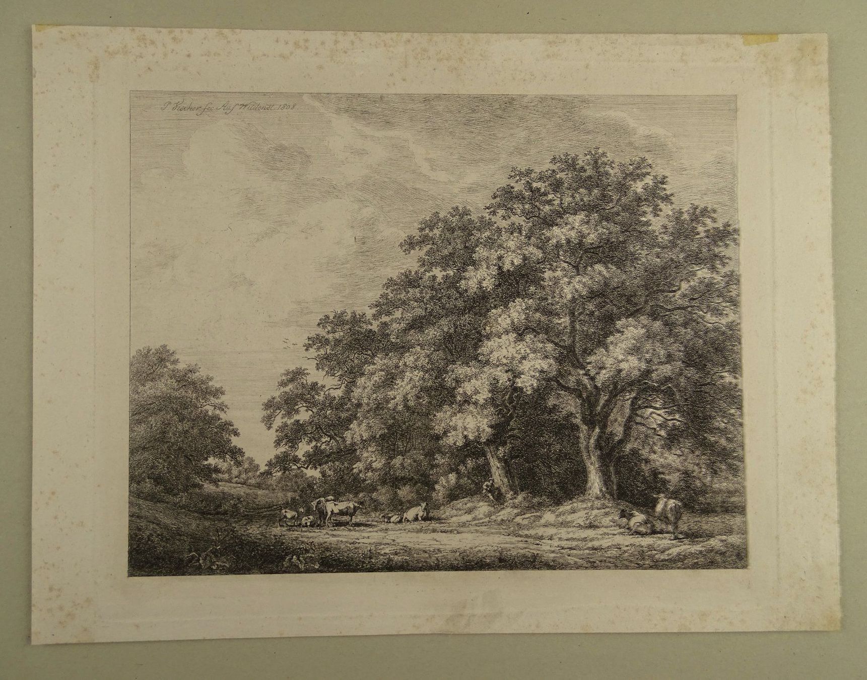 Incisioni: AUF WILDENSTEIN, KUPFERRADIERUNG 1808 – Usato da Grüningen venduto da Kartensammler 1