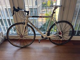 Carbon-Bike Rose Red Bull Carbon SL