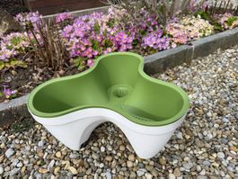 🌿🌿ORIGINELLER KRÄUTER/ BLUMENTOPF🌿🌿TOLLER ZUSTAND💐💐