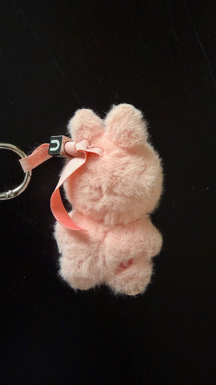Pop Mart Schlüsselanhänger & - bänder: Labubu Keychain – Gebraucht aus Zürich von pre_vy7t 3