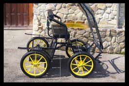 Kutsche für Minishettys, Shetty