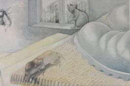 Schulwandbild "Spitzmaus" von Hans Ulrich Weber SONDERPREIS