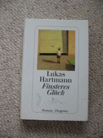 Finsteres Glück Lukas Hartmann