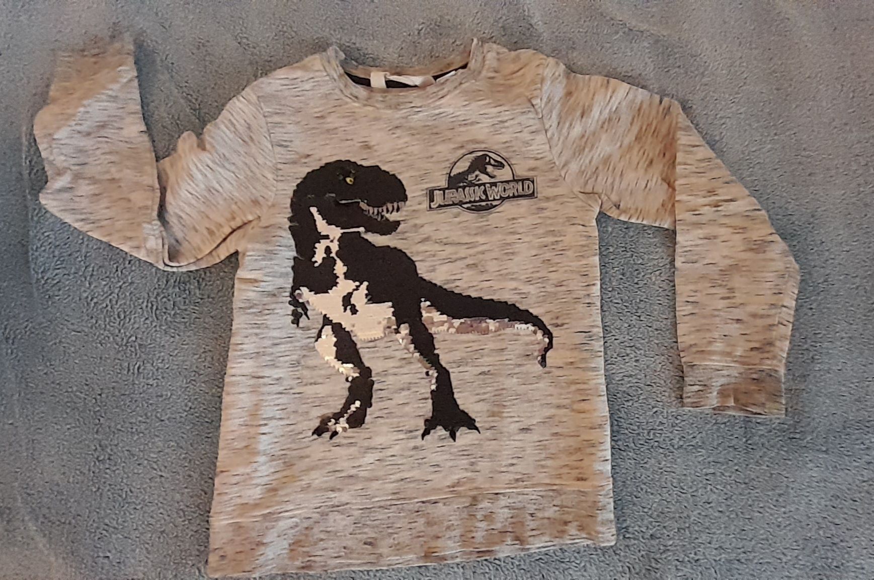 H&M Maglioni & Felpe: Dino-Pullover H&M 122-128 – Usato da Fontaines NE venduto da neuch123 1