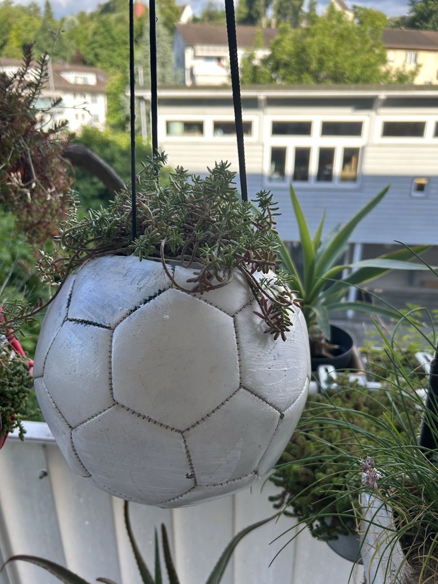 Tutte le decorazioni: Blumenball – Nuovo (secondo la descrizione) da Frauenfeld venduto da Irene.Schuppli 1