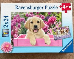 Puzzle Hund