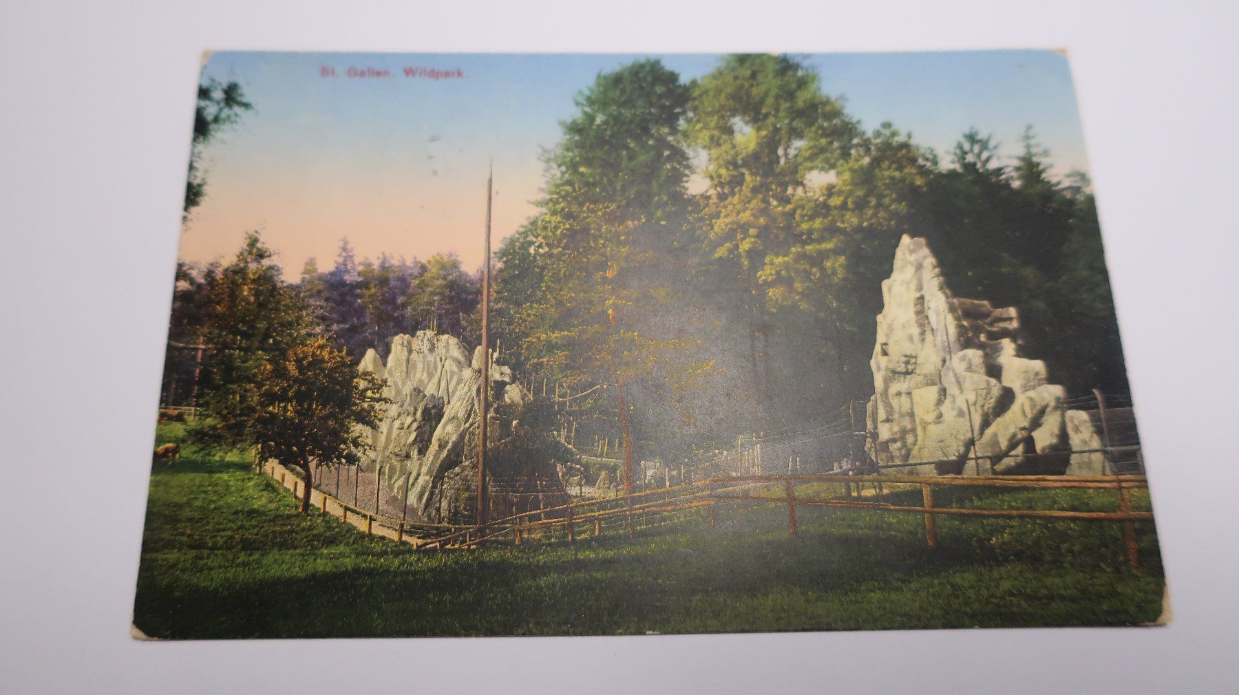 Cartes postales: St. Gallen Wildpark  1915 – D'occasion à Cormoret par Pascalll2001 1