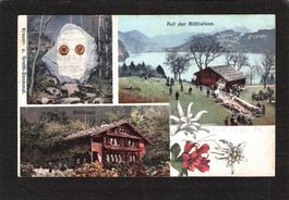 Auf der Rütliwiese , Rütli Stempel , gelaufen 23.Vll.1906