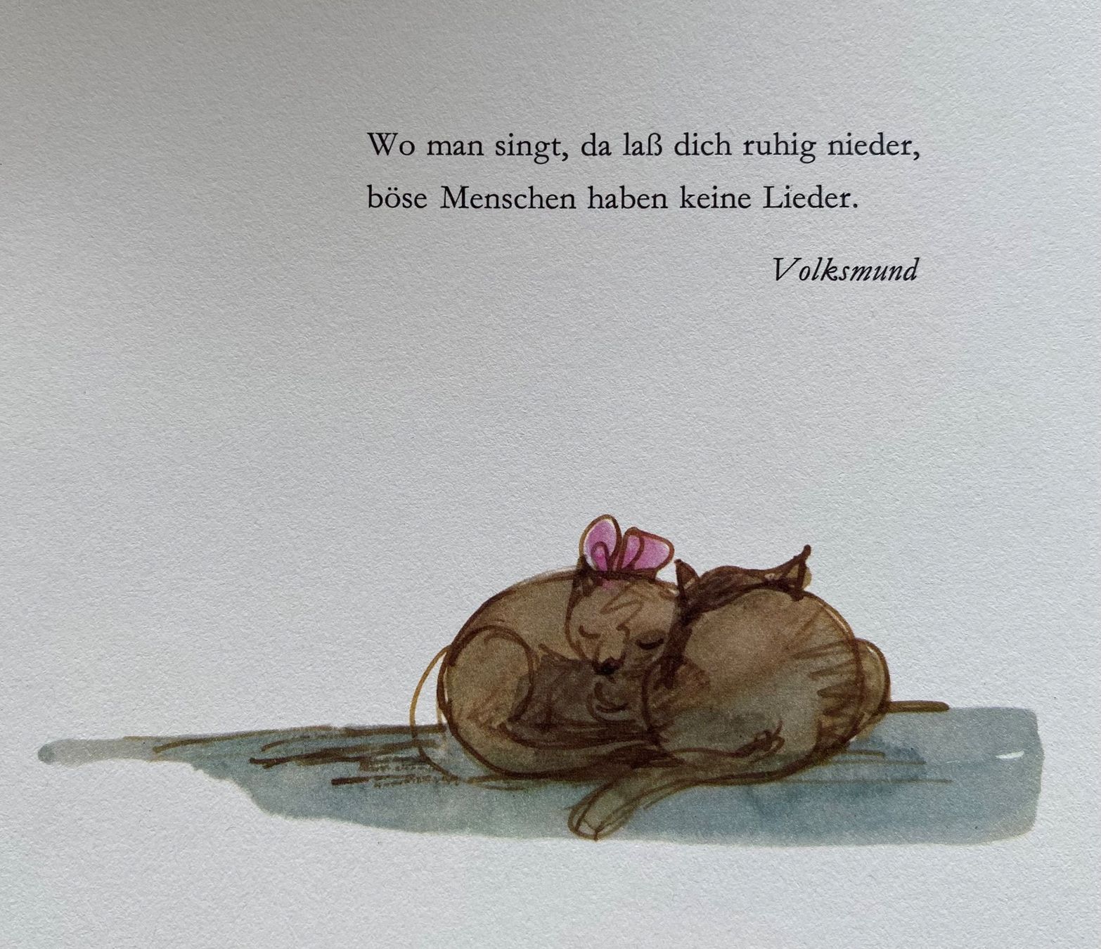Libri: Das grosse Liederbuch Jg.1977 – Usato da Nussbaumen AG venduto da schuba2000 3