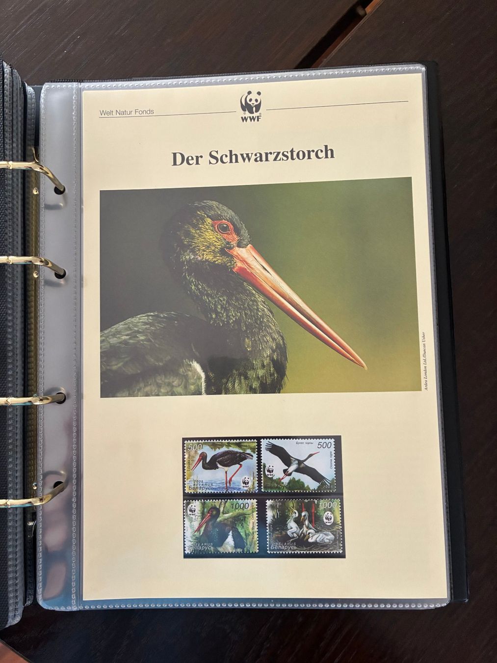 WWF Album: WWF-Briefmarken-Sammlung im Album – Nuovo e nell'imballaggio originale da Thalwil venduto da figueres