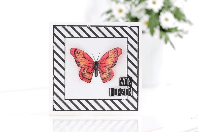Stampin' up! Carta: Stampin up Designerpapier "Schmetterlingsvielfalt" – Nuovo (secondo la descrizione) da Frauenkappelen venduto da evangelina78 1