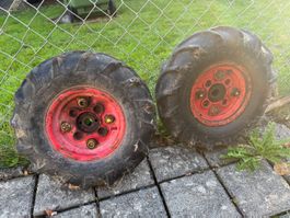 Rapid Rex Räder Firestone Champion Ground Grip