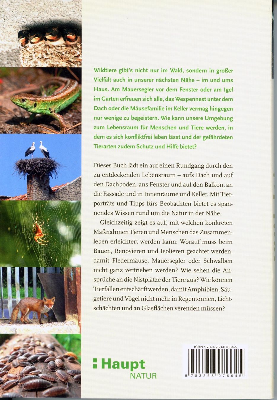 Libri: Wildtiere. Hausfreunde und Störenfriede – Usato da Zollikofen venduto da Hci 1