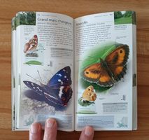 Papillons, Nature en poche