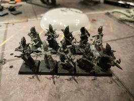 Dunkelelfen Repetierarmbrustschützen Warhammer Old World