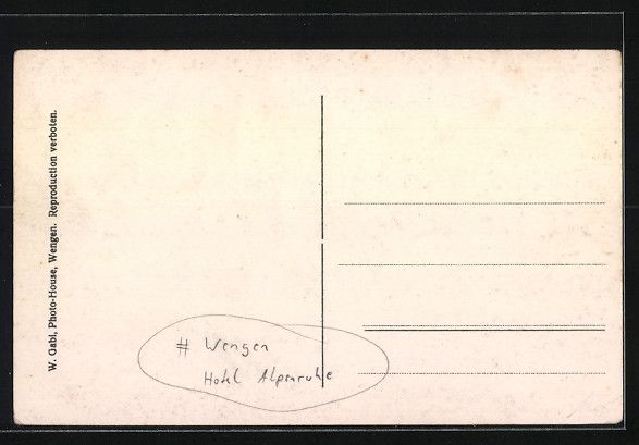 Cartoline postali: AK Wengen, Hotel Alpenruhe mit Park – Usato da Berlin venduto da bartko-reher 1
