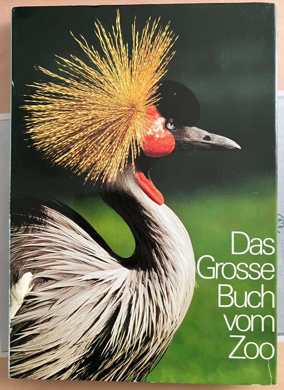 Libri: "Das grosse Buch vom Zoo" – Usato da Zürich venduto da Derrick8
