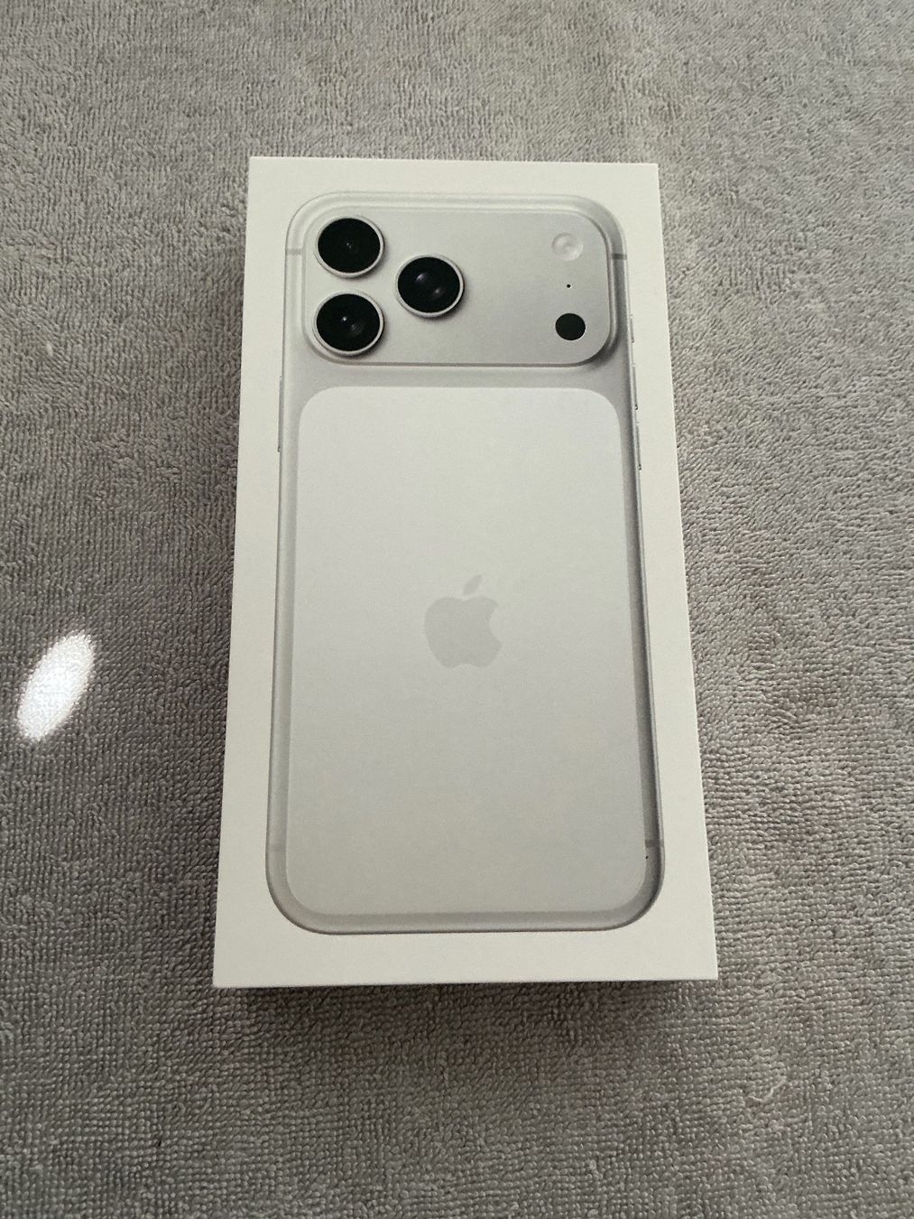 Apple Telefoni cellulari / Smartphones: iPhone 17 Pro Max 258 GB, Silber, Silicon Case, noch neu – Nuovo (secondo la descrizione) da Affoltern am Albis venduto da Sspiridon