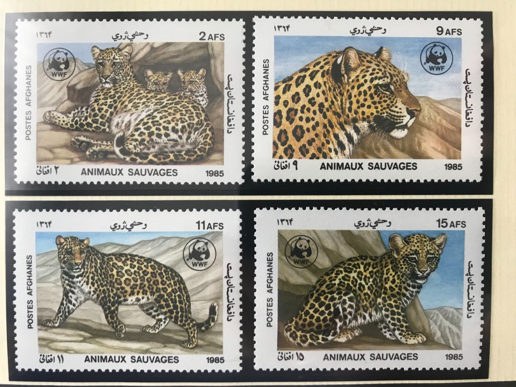 Tutti i francobolli: Afghanistan 1985 Satz WWF Leopard postfrisch – Nuovo (secondo la descrizione) da Liestal venduto da schnueps