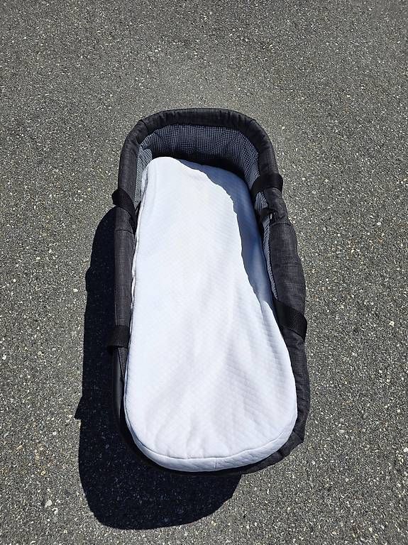Teutonia Carrozzine: Kinderwagen – Usato da Klosters venduto da Tinli0 1