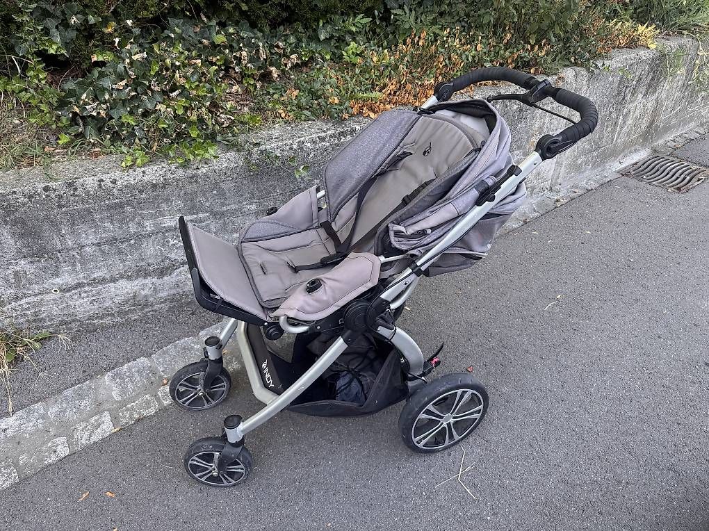 Gesslein Carrozzine: Kinderwagen Gesslein – Usato da Münsingen venduto da Legue