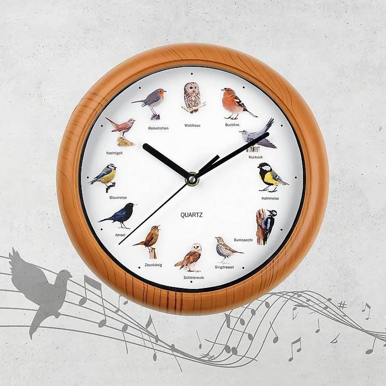 Uhren: Wanduhr mit Vogelstimmen in Braun Hellbraun oder Silber – Neu und originalverpackt aus Boltigen von VictoryofJoy