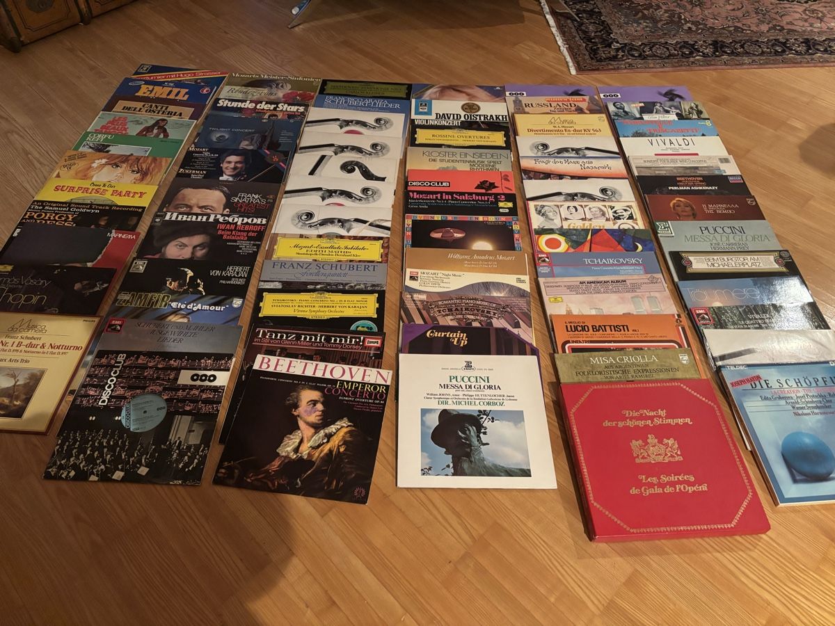 Dischi in vinile: 73 Musik Schallplatten Sammlung – Usato da Halden venduto da leyla_ze