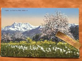 Alte Ansichtskarte La Dent du Midi. Guter Zustand