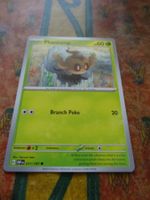 POKEMON  Phantump     G  OBF EN    011/197    HP60    2023